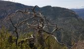 Randonnée Marche Castellane - Castelane - Photo 11