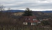 Randonnée Marche Serre-les-Sapins - serre les sapins via pirey - Photo 3