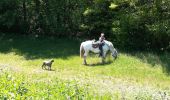 Trail Horseback riding Buriville - randonnée Marion 2 buriville étang de mondon  - Photo 4
