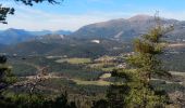 Tocht Stappen Valderoure - Sommet du Beauroux : panoramique et champignons - Photo 17
