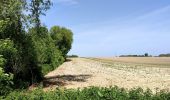 Tocht Stappen Hannuit - La balade des chevées (5km)  - Photo 3