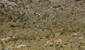 Randonnée Marche San Andrés - trek Equateur jour 2 - Photo 11