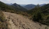 Trail Walking Buis-les-Baronnies - Malpertuis - Milmandre - Ubrieux 04.08.2021 - Photo 2