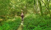 Tocht Stappen Doische - La Boucle de l'Hermeton - Photo 14