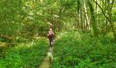 Tocht Stappen Doische - La Boucle de l'Hermeton - Photo 14