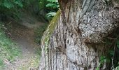 Randonnée Marche Fontan - Chemin des Drôles  - Photo 10