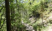 Randonnée Marche Châtillon-en-Diois - Les Cabanes de Châtillon (Glandasse) - Photo 4