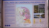 Tour Wandern Martigues - Martigues - parc de Figuerolles - Photo 2