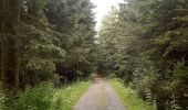 Tour Wandern Malmedy - xhoffraix . cheneux . moulin et cascade bayehon . vieux chêne . longfaye . xhoffraix - Photo 3