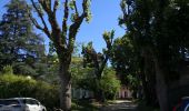 Randonnée Marche Chasselay - Le bois Chatelard - Photo 10