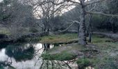 Randonnée Marche Pégairolles-de-Buèges - seranne, pontel, pegairolles de bueges, et source de la bueges - Photo 3