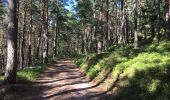 Tour Wandern Schnierlach - La tour du Faudé - Les Alisiers - Photo 3