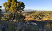 Trail Walking Sanary-sur-Mer - trail La Gorguette au Petit Cerveau - Photo 3