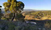 Tour Wandern Sanary-sur-Mer - trail La Gorguette au Petit Cerveau - Photo 3