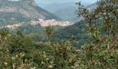 Randonnée Marche Anduze - Lacan et le château de Tornac - Photo 3