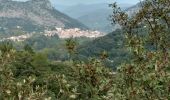 Tocht Stappen Anduze - Lacan et le château de Tornac - Photo 3