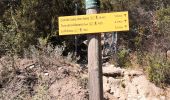 Tour Wandern Argelès-sur-Mer - dolmen plus chapelle st laurent - Photo 2