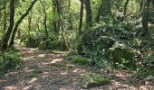 Trail Walking Sainte-Anastasie-sur-Issole - Saint Quinis - Ste Anastasie - Photo 13