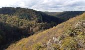 Trail Walking Mörsdorf - pont suspendu de Geierlay - Photo 5