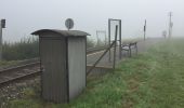 Tour Zu Fuß Volkach - Panoramaweg Mainschleife - Photo 5