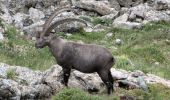 Tour Wandern Aime-la-Plagne - 2024-09-08 Marche Tour Beaufortain Refuge Coire vers Refuge Presset - Photo 8