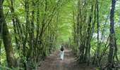 Tocht Stappen Rendeux - Cheoux  - Photo 3