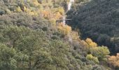 Trail Walking Les Arcs-sur-Argens - sommet des Terriers, les Arcs sur Argens, 15-11-23 - Photo 3