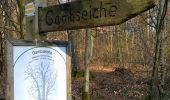 Tour Zu Fuß Groß-Umstadt - Rundwanderweg Richen 2 : Mittelforst-Weg - Photo 9