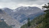 Trail Walking Méailles - M’égailles tête du Ruch - Photo 12