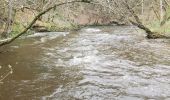 Tocht Stappen Pontaumur - Gorges du Sioulet - Photo 2