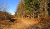 Trail Walking Retheuil - en forêt de Retz_76_dans les forêts de Retz et de Compiègne - Photo 8