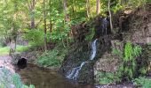 Tocht Noords wandelen Aywaille - trek2306 remouchamps . ninglinspo . Vert-Buisson . berinzenne . source sauveniere . niveze . sart . royonpré . polleur . chawion . theux . hodbomont . forestia . remouchamps  - Photo 15