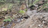Trail Walking Waimes - Peak brune - Photo 5