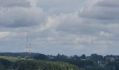 Trail Walking Habay - rando moulin d anlier 31/07/2021 - Photo 5