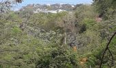 Trail Walking Sainte-Luce - L'Anse Pont Café-Bellevue Ladour en boucle  - Photo 6