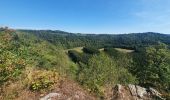 Tour Wandern Bertrix - rando  auby sur semois 2-09-2022 - Photo 7