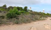 Tour Wandern Leucate - plateau de leucat sud-est sans grand route  - Photo 16