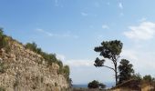 Excursión Senderismo Le Perthus - palissades.  la carboniere . fort de bellegrade . panissars - Photo 3