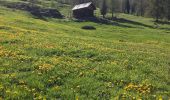 Randonnée Marche Château-Ville-Vieille - sommet buchet - Photo 18