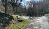 Trail Walking Monschau - Rando Eifel des jonquilles narcisses 18,3 - Photo 1