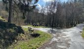 Tocht Stappen Monschau - Rando Eifel des jonquilles narcisses 18,3 - Photo 1