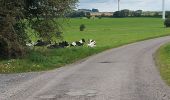 Tocht Stappen Messancy - Marches d'été 2021. Hondelange - Photo 2