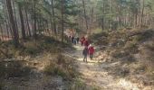 Trail Walking Fontainebleau - croix du grand maître 3mars 2023  - Photo 15