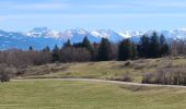 Tour Wandern Collonges-sous-Salève - SALEVE - Photo 12