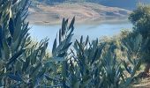 Tour Wandern Unknown - Zahara  - Photo 2