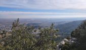 Trail Walking Laudun-l'Ardoise - Camp de César - Photo 4