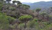 Percorso Marcia Roquebrune-sur-Argens - Cimetière de Roquebrune - Pont de Verne - Les 3 Croix - Photo 10