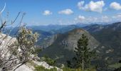 Excursión Senderismo Castellane - cadieres de brandis - Photo 1