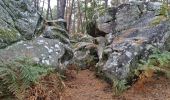 Trail Walking Fontainebleau - Fontainebleau - Sentier des carriers - Photo 5