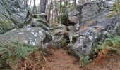 Excursión Senderismo Fontainebleau - Fontainebleau - Sentier des carriers - Photo 5